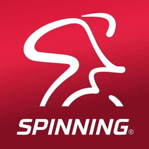Introduction to spindog casino